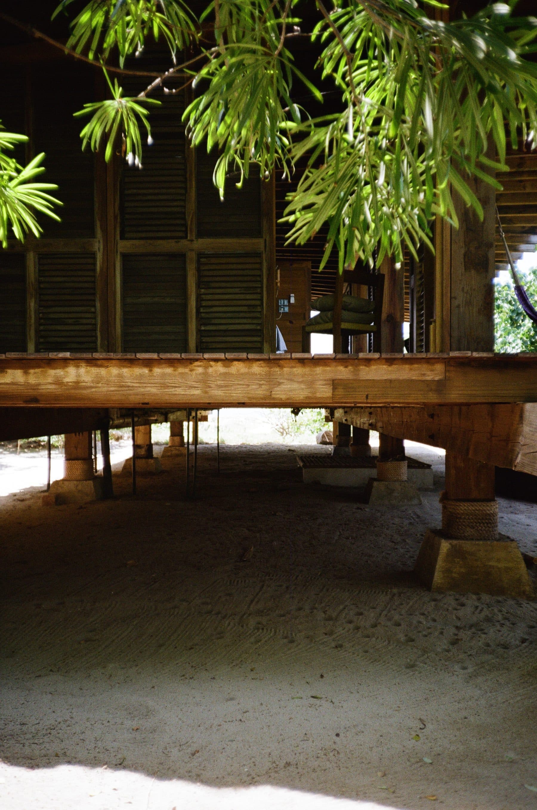 Punta Pájaros — photo 35