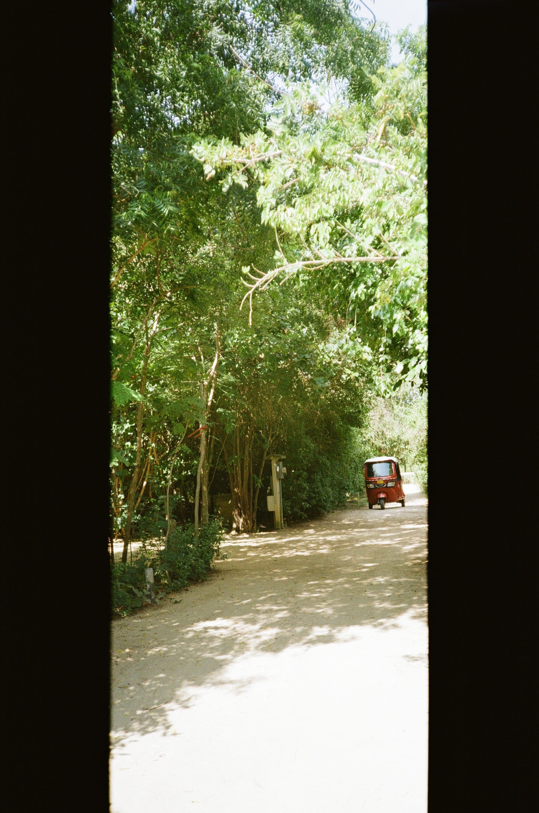 Punta Pájaros — photo 55