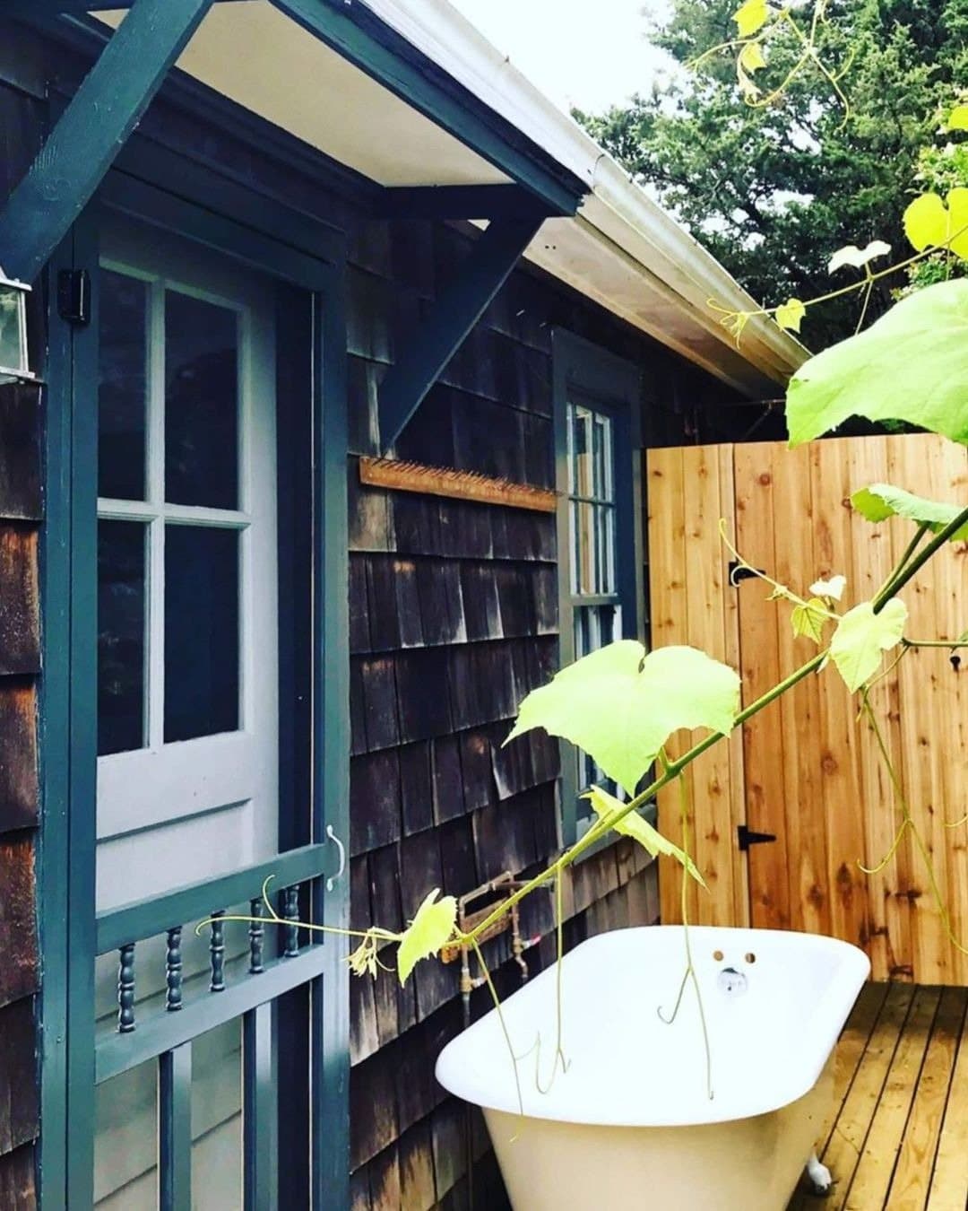 Sea Roost — photo 10